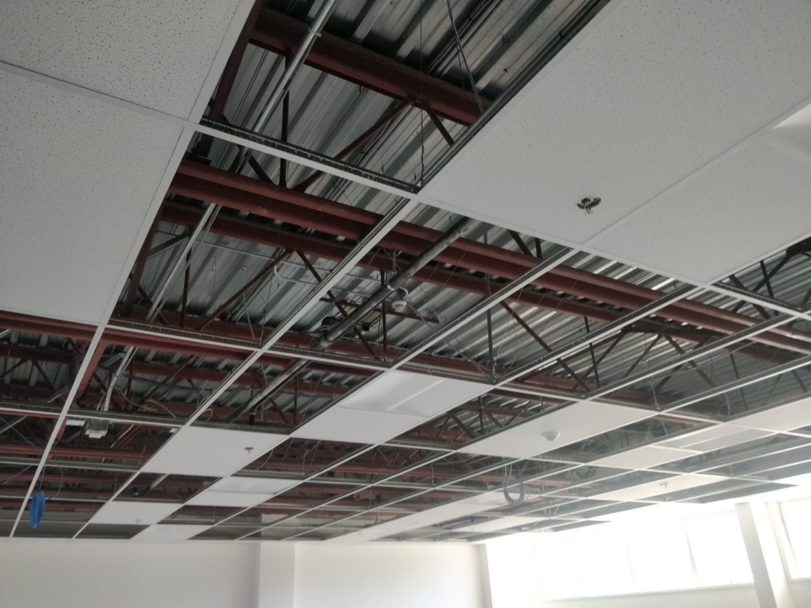 Suspended acoustic ceiling installation below exposed building services